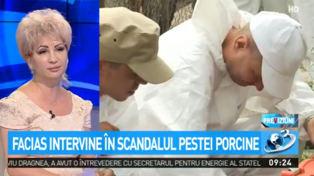 , Facias solicită autorităților rom&acirc;ne extinderea cercetărilor pentru pedepsirea celor ce nu au acționat &icirc;n timp util pentru eradicarea pestei porcine africane, FACIAS