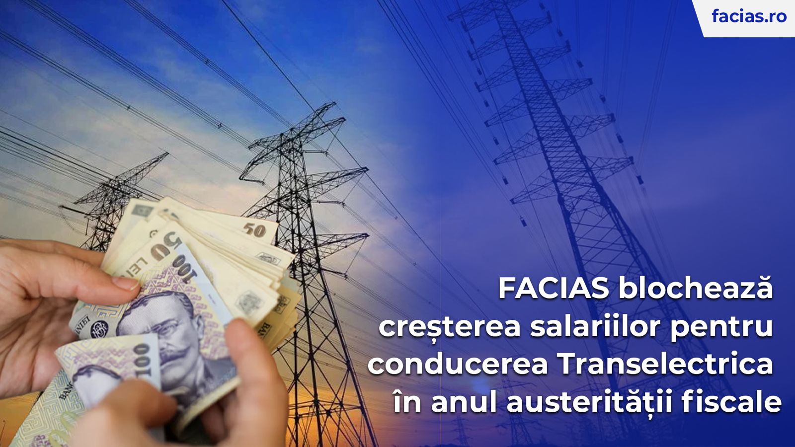 , FACIAS blochează creșterea salariilor pentru conducerea Transelectrica &icirc;n anul austerității fiscale, FACIAS